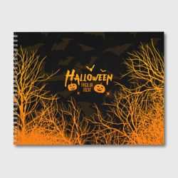 Альбом для рисования Halloween forest bats летучие мыши в лесу хеллоуин