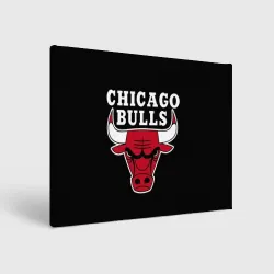 Холст прямоугольный B.C. Chicago Bulls