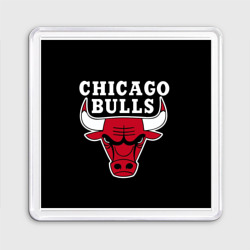 Магнит 55*55 B.C. Chicago Bulls