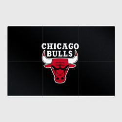 Магнитный плакат 3Х2 B.C. Chicago Bulls