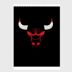 Скетчбук B.C. Chicago Bulls