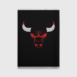 Обложка для автодокументов B.C. Chicago Bulls