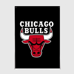 Постер B.C. Chicago Bulls