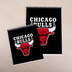 Скетчбук B.C. Chicago Bulls - фото 2