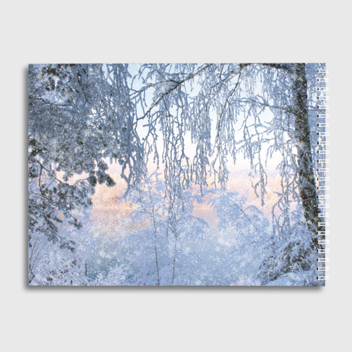Альбом для рисования Хаски В Зимнем Лесу - фото 2