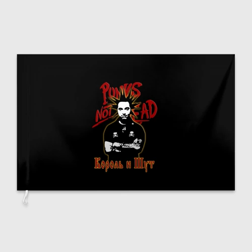 Флаг 3D Punk's Not Dead КиШ