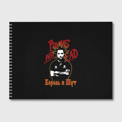 Альбом для рисования Punk's Not Dead КиШ