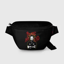 Поясная сумка 3D Punk's Not Dead КиШ