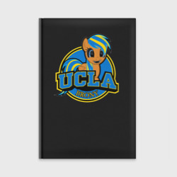Ежедневник UCLA(2)