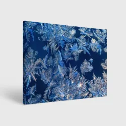 Холст прямоугольный Снежинки макро snowflakes macro