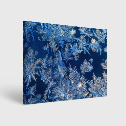 Холст прямоугольный Снежинки макро snowflakes macro