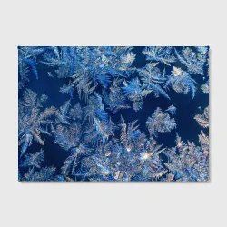 Холст прямоугольный Снежинки макро snowflakes macro - фото 2