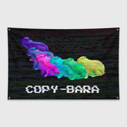 Флаг-баннер Copy-bara-synth