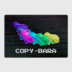 Магнитный плакат 3Х2 Copy-bara-synth