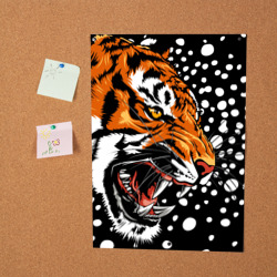 Постер Амурский тигр и снегопад - фото 2