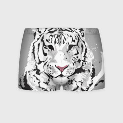 Мужские трусы 3D Белый снежный тигр