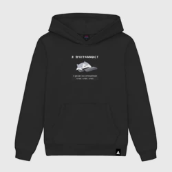 Мужская толстовка хлопок Программист кот