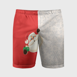 Мужские шорты спортивные Дед Мороз селфи