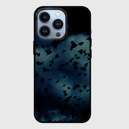 Чехол для iPhone 13 Pro Flock of birds, цвет черный