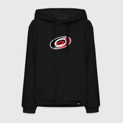 Мужская толстовка хлопок Каролина Харрикейнз, Carolina Hurricanes логотип