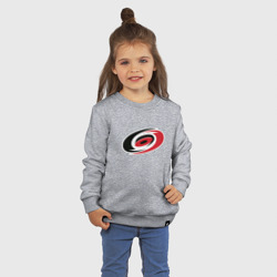 Детский свитшот хлопок Каролина Харрикейнз, Carolina Hurricanes логотип - фото 2