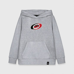 Детская толстовка хлопок Каролина Харрикейнз, Carolina Hurricanes логотип