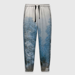 Мужские брюки 3D Зимний пейзаж картина маслом