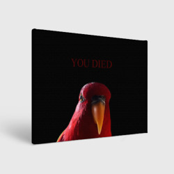 Холст прямоугольный Красный попугай Red parrot