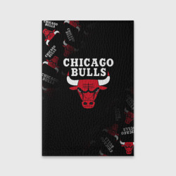 Обложка для паспорта матовая кожа Чикаго буллс быки Chicago bulls