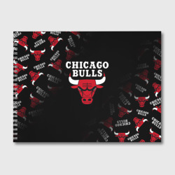 Альбом для рисования Чикаго буллс быки Chicago bulls