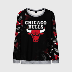 Мужской свитшот 3D Чикаго буллс быки Chicago bulls