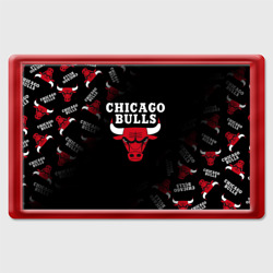 Магнит 45*70 Чикаго буллс быки Chicago bulls