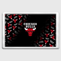 Магнит 45*70 Чикаго буллс быки Chicago bulls