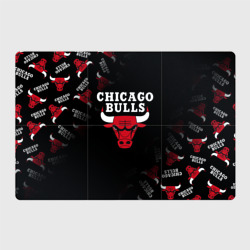 Магнитный плакат 3Х2 Чикаго буллс быки Chicago bulls