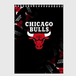 Скетчбук Чикаго буллс быки Chicago bulls