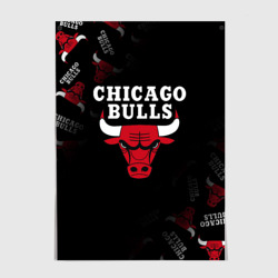 Постер Чикаго буллс быки Chicago bulls