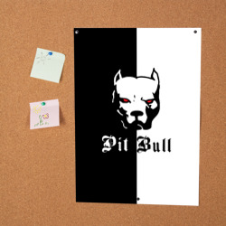Постер Pit Bull боец - фото 2