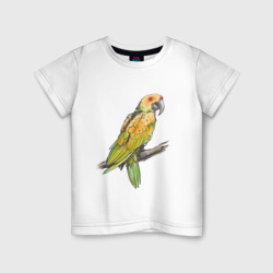 Детская футболка хлопок Любимый попугай