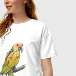 Женская футболка хлопок Oversize Любимый попугай - фото 2