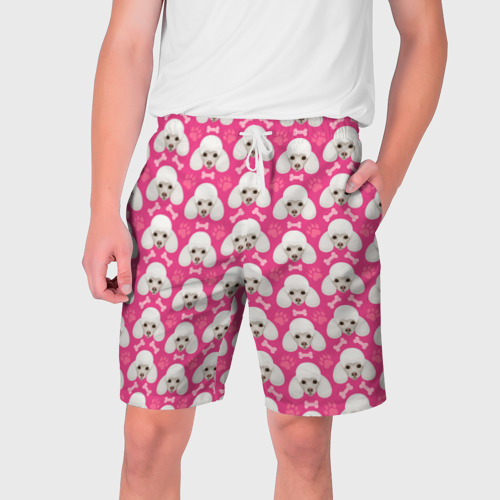 Мужские шорты 3D с принтом Собака Пудель, вид спереди #2