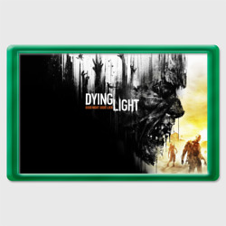 Магнит 45*70 Dying light Харан