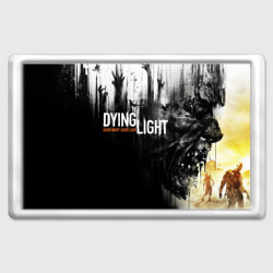 Магнит 45*70 Dying light Харан