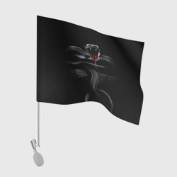 Флаг для автомобиля Змея на камне на черном фоне