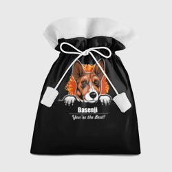 Подарочный 3D мешок Басенджи Basenji