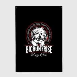 Постер Бишон Фризе Bichon Frize