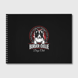 Альбом для рисования Бордер-Колли Border Collie