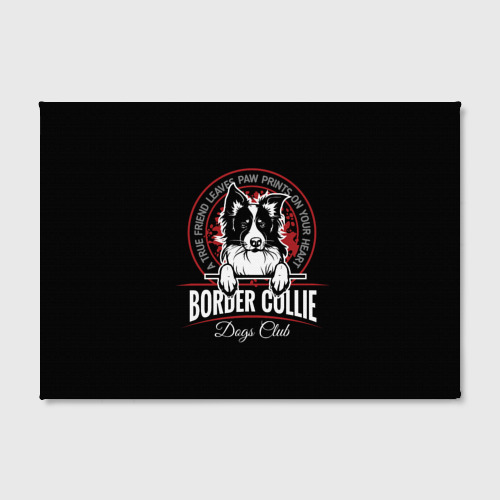 Холст прямоугольный Бордер-Колли Border Collie, цвет 3D печать - фото 2