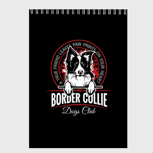 Скетчбук Бордер-Колли Border Collie, цвет белый