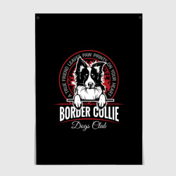 Постер Бордер-Колли Border Collie