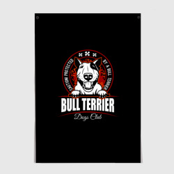 Постер Бультерьер Bull Terrier